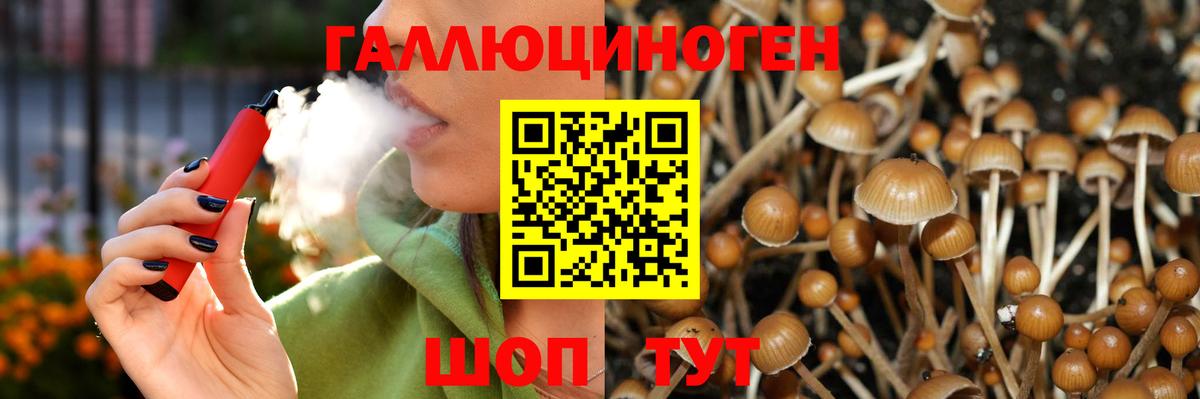Галлюциногенные грибы Psilocybine cubensis  Вход с VPN  Мурино  Галлюциногенные грибы Magic Shrooms 